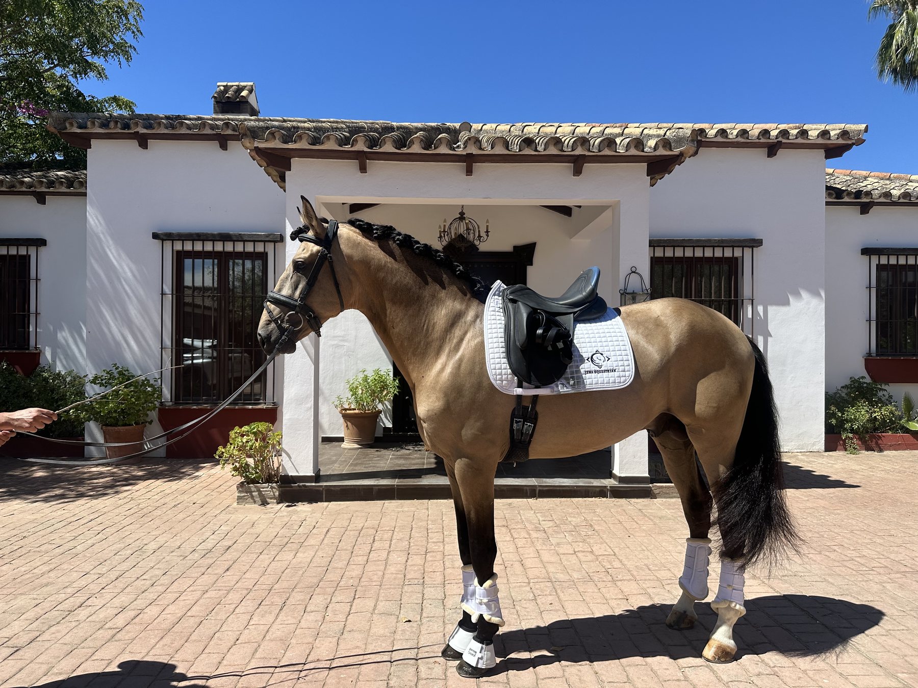 Cortés AG, photo 1 of 4
